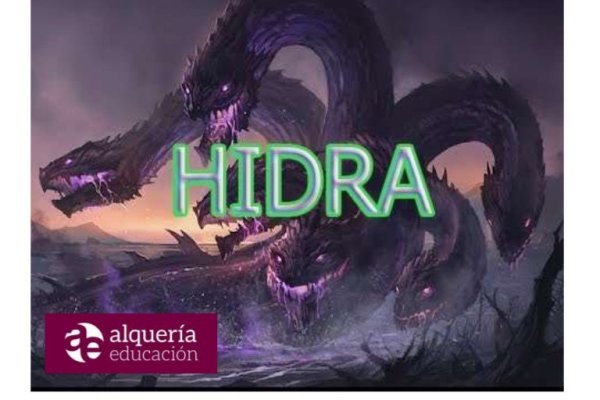 Kraken не работает зеркала krmp.cc
